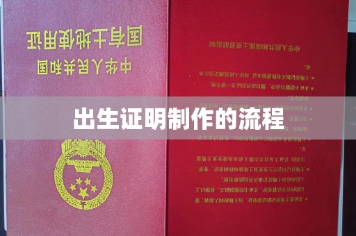 四子王旗出生证明制作的流程