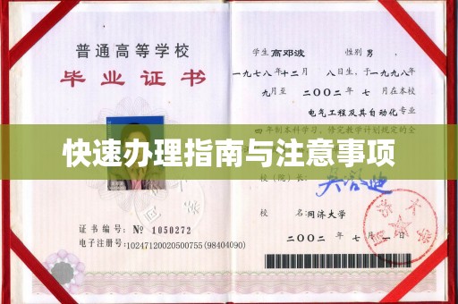 四子王旗快速办理指南与注意事项